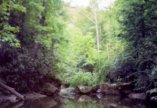 Upstream of Dog Fork